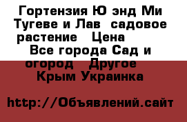 Гортензия Ю энд Ми Тугеве и Лав, садовое растение › Цена ­ 550 - Все города Сад и огород » Другое   . Крым,Украинка